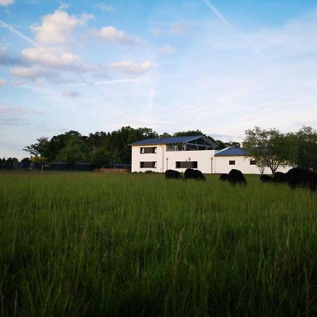 Landhaus Kirchberg Nardt Exteriör bild